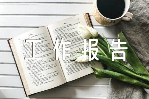 贯彻落实党路线方针政策、中央重大决策部署和省委要求情况工作报告精选3篇