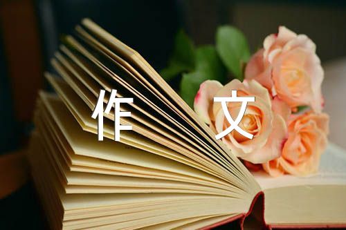 谈谈服饰800字作文【5篇】