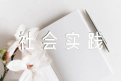 返家乡社会实践报告1000字(锦集9篇)