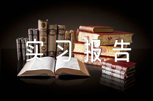 旅游管理的實習報告匯編11篇