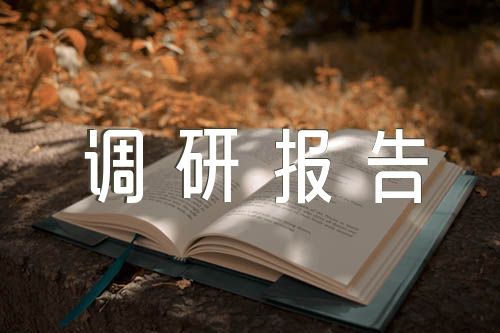基层退役军人服务调研报告范文(精选三篇)